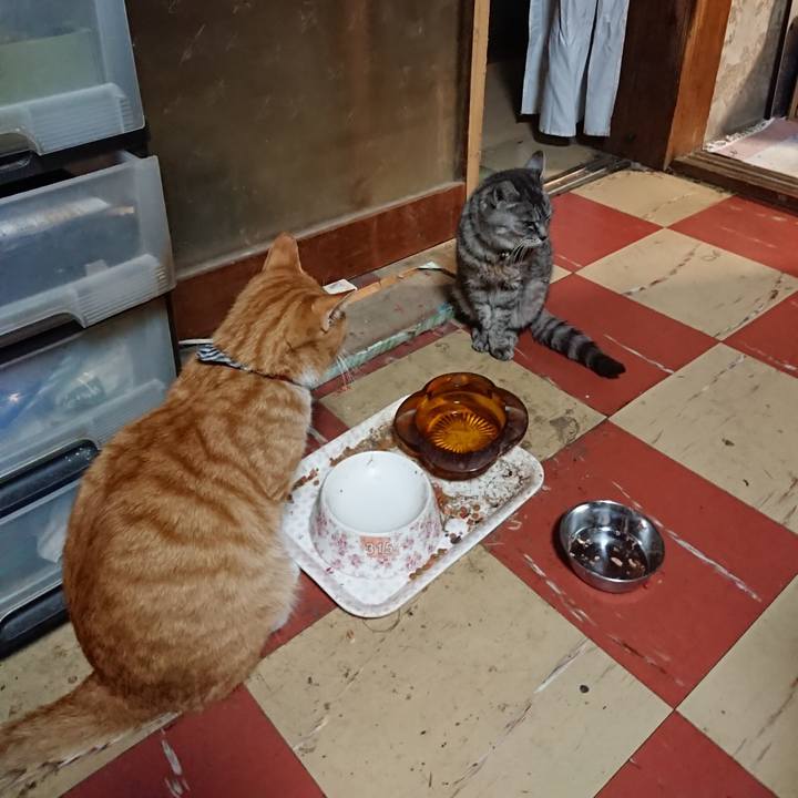 303e1b57 bf7f 4c04 b4b6 ebc30c80ed9c 1571218385146