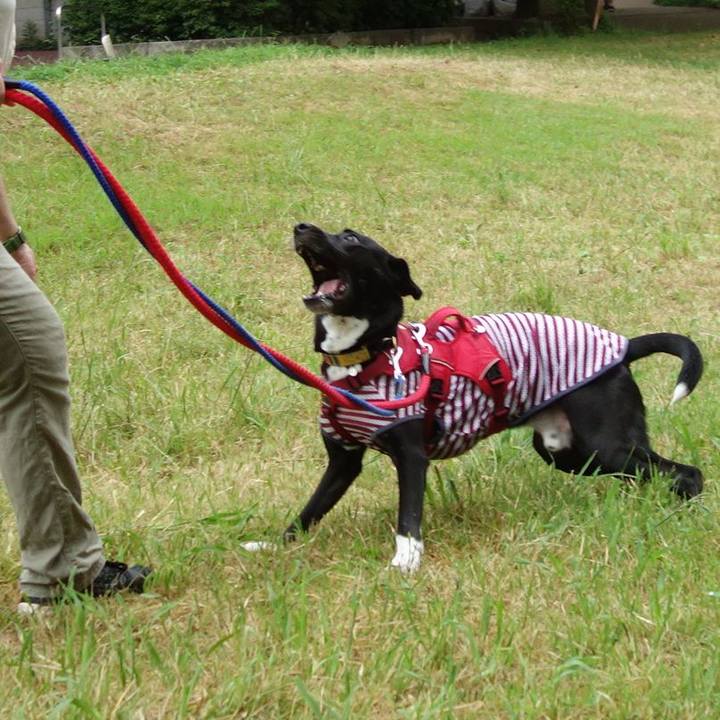 303e1c8d 646d 476b 86c2 7937d78de5f5 1596931187795