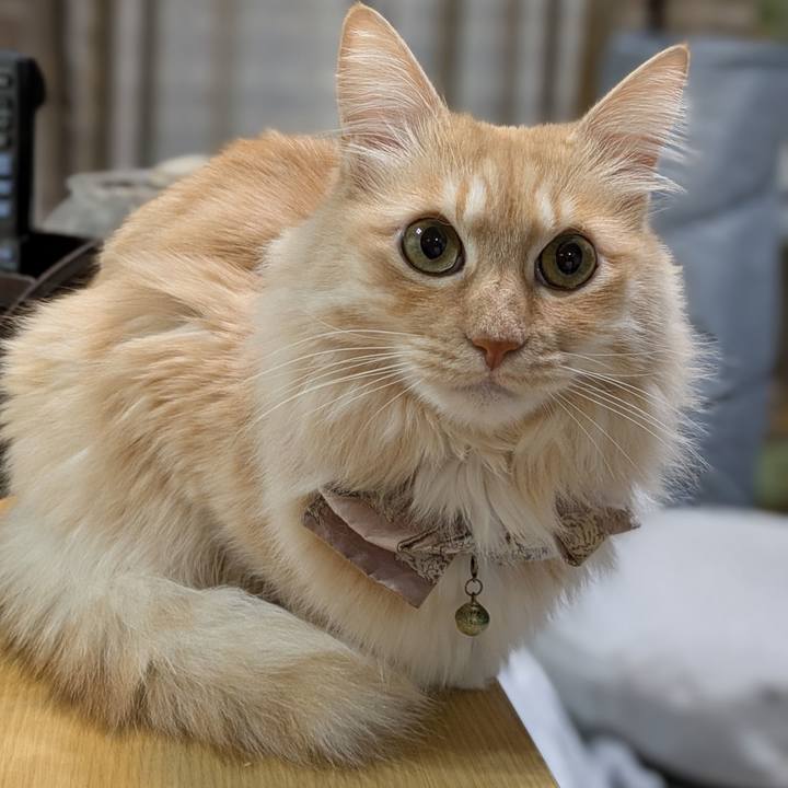 303e3979 9b00 473e 81e3 1ec54c6c1cfe 1737629757240