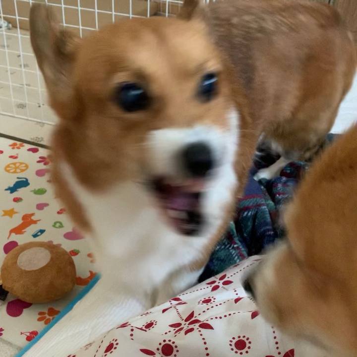 303e75e0 7eda 4442 9743 644266d53ef5 1699407948024