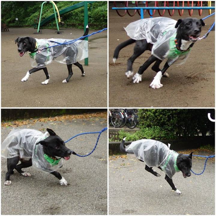 303e7e8b c5de 414a b2c2 6e4d00bb100b 1594337710593