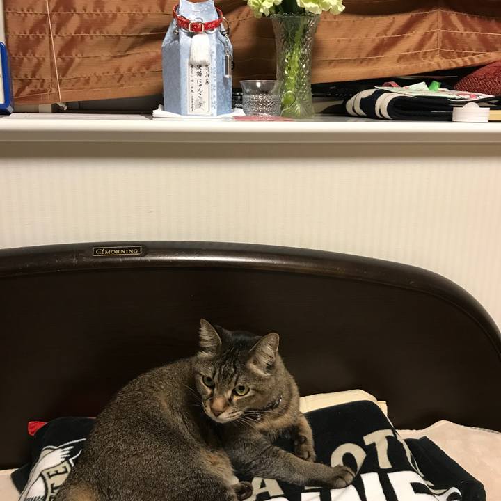 303e9c34 5f9d 42bf ba85 72667bf081c9 1556193147355