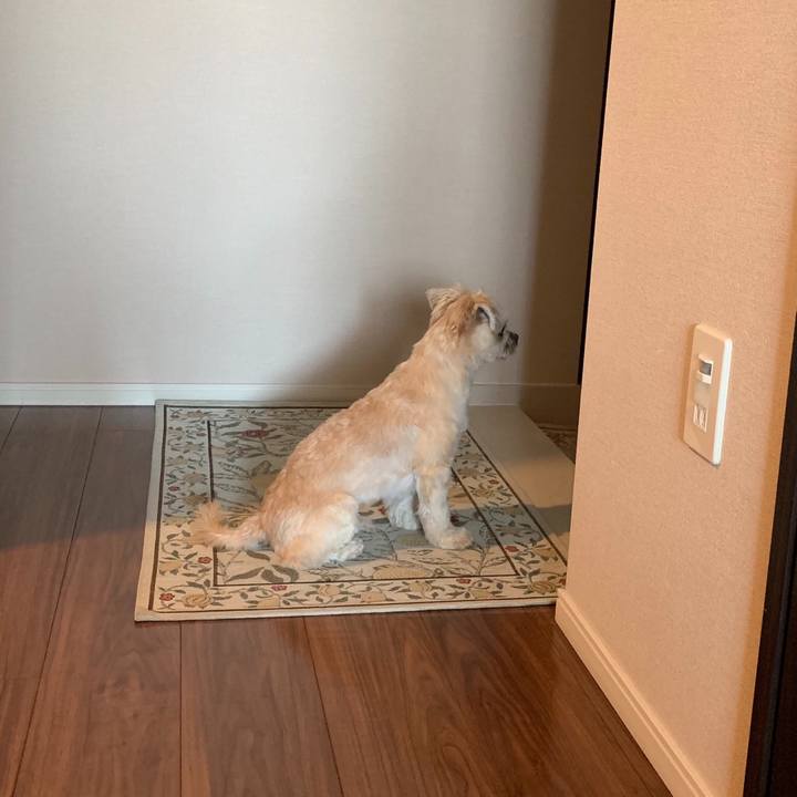 303ebfb3 c765 4107 9007 59ce94d9f1d5 1566043044098