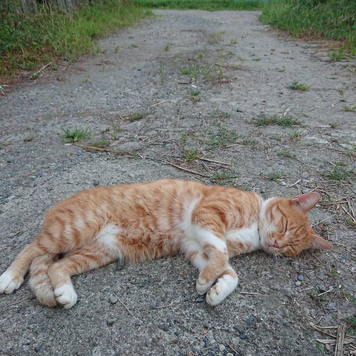 303ec36e 250b 4e40 83e1 4a5f63545d85 1598952440846