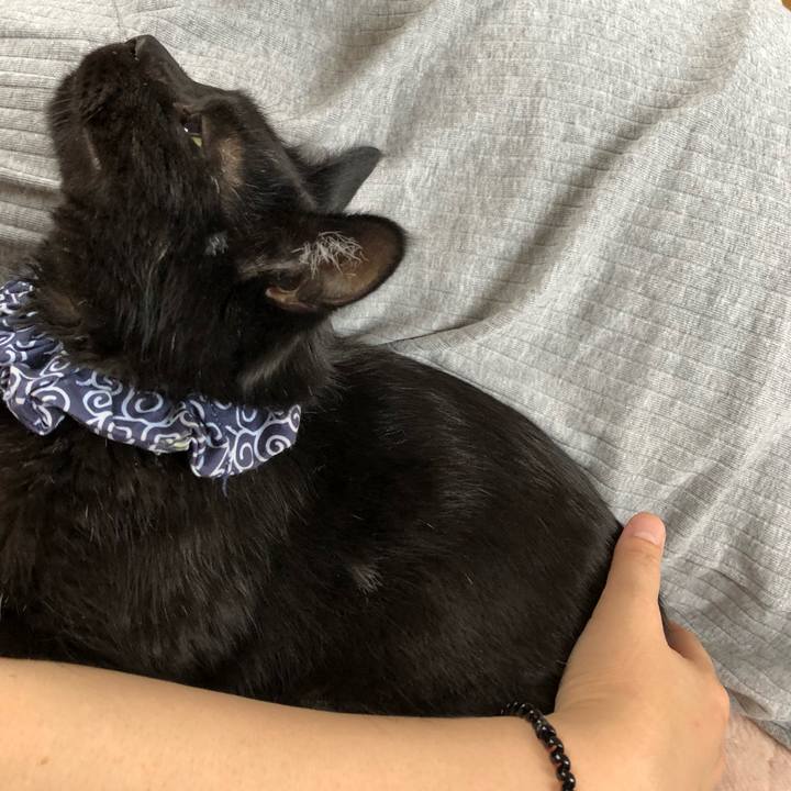 303ece54 d6b6 4f35 b2ca 3acc647a9fa6 1559945186084