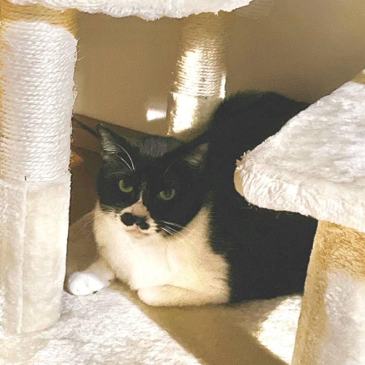 303ee0e6 0883 45da 85f5 320e07b7df89 1705517191742