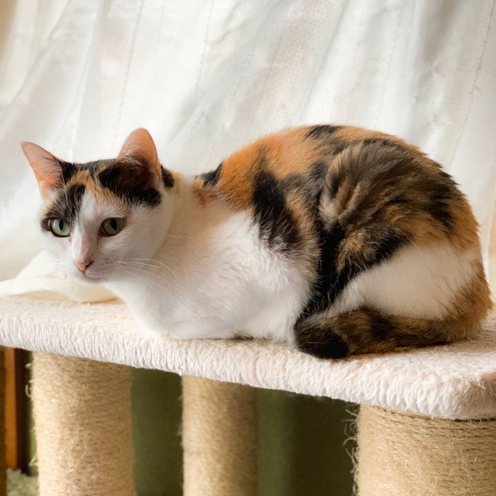 303ee20d 0207 403c 9470 1e7fab4c2ae7 1568944764994