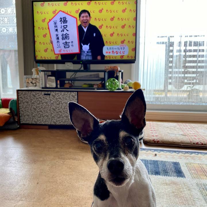 303ee457 acce 4321 9980 46571c7d4c39 1610356082126