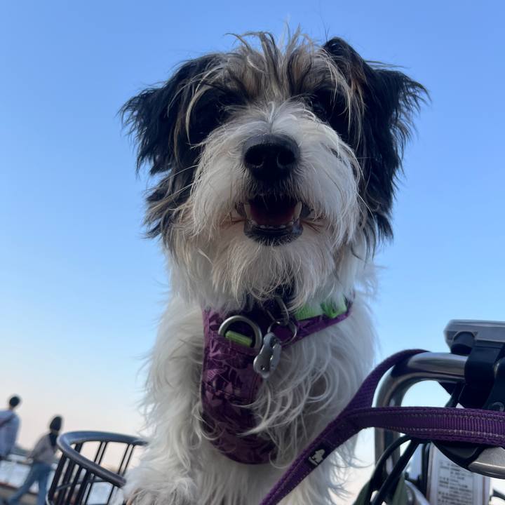 303f6acd 71a2 4ac2 b99c ddac4e8b917f 1763129629896