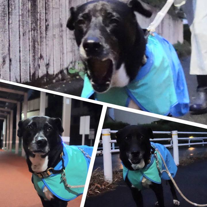 303f7c07 018a 425c b74f 2255681d60d5 1683467494887