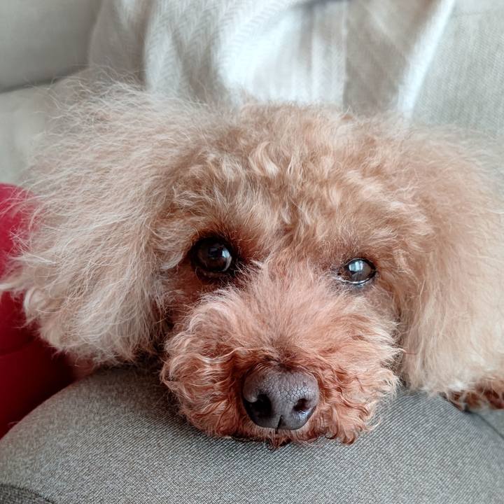 303f8ce4 d52c 497e 9108 78d6907dfd4b 1605415556999