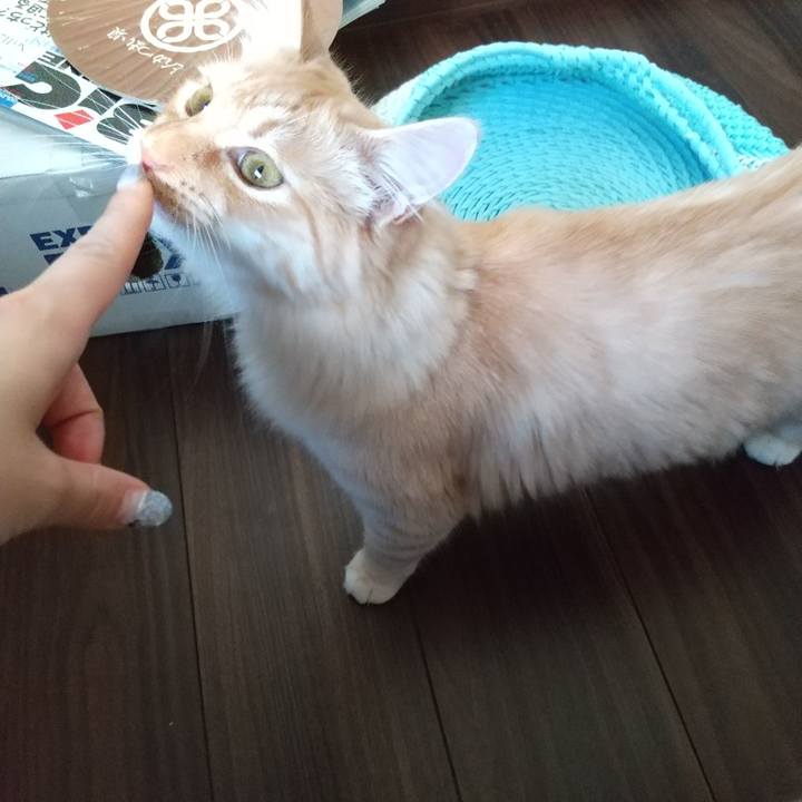 303fec59 4c81 44db 97b7 8051a3aa297e 1623191415346