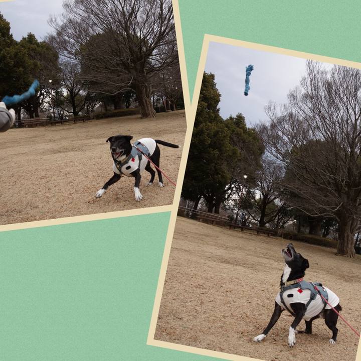 30401bfa d884 4a7c a78f 7e61a19ed8fb 1739665880020