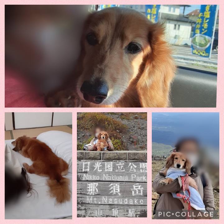 30403c66 cce5 4bf7 b222 65885e151b9d 1633355731819