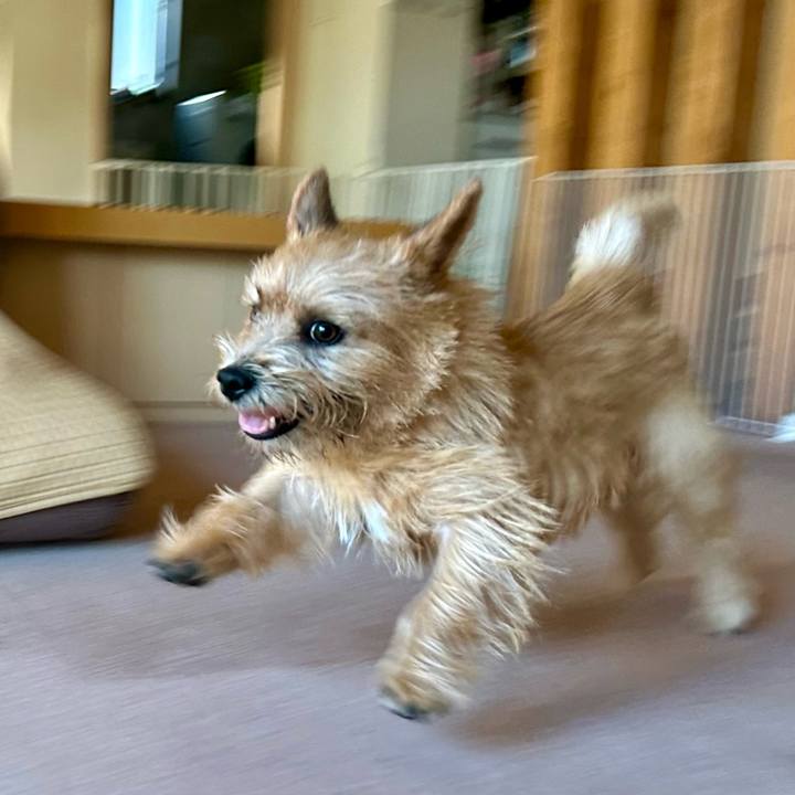 30404b0a 2cce 4841 a9a4 4d9e555bf5d9 1730971457045