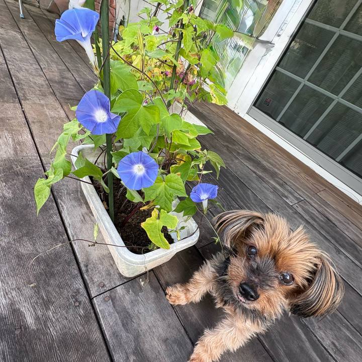 3040b0f4 0c00 431e a753 cabf01cade27 1755904858329