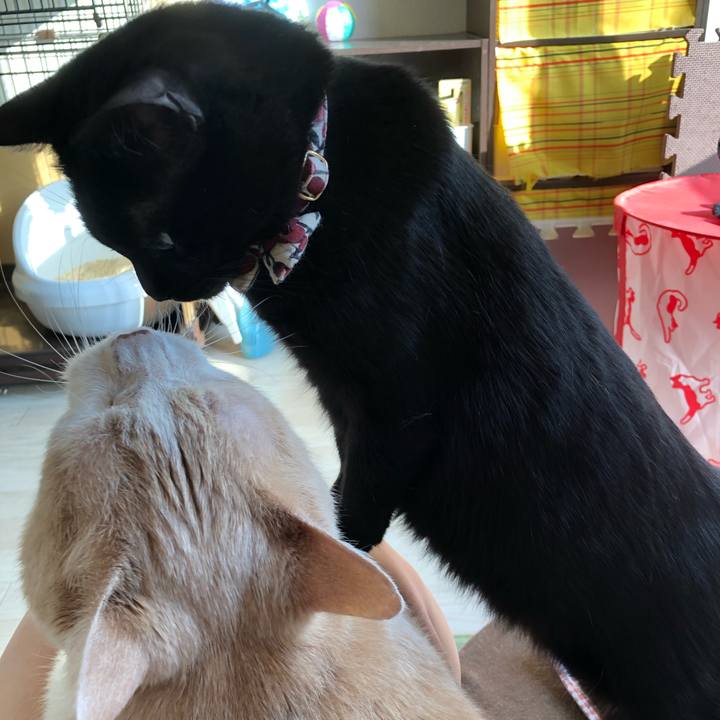 3040b5ad 1d39 4a30 84e0 c059e8ca7d5f 1581129564662