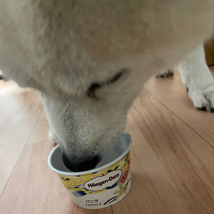 3040f491 c1b9 4b34 aeab cbc08468c65d 1662938686620