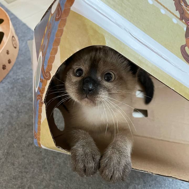 3040f91d 6f84 4257 846b 8531f5ebd3c2 1689538135662