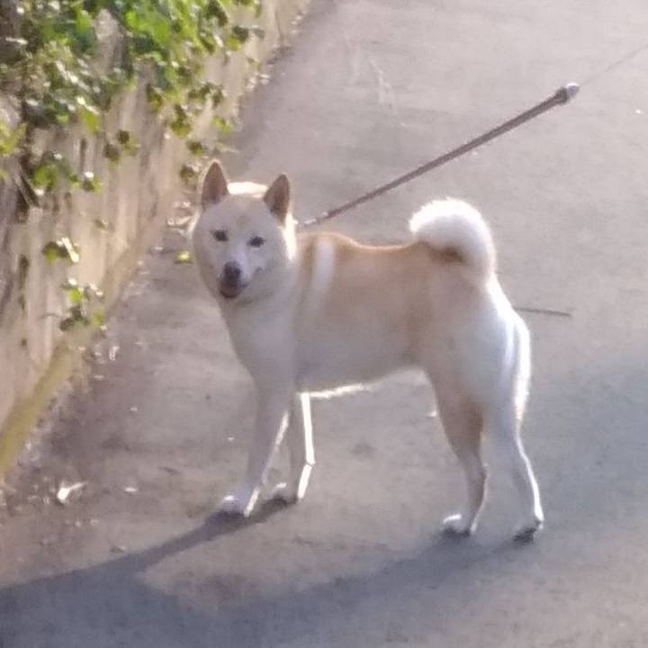 304106df 3529 4ab9 9248 03ca6d03993f 1601680061965