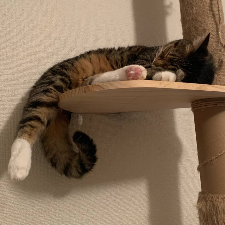 30413651 88aa 48c1 abc0 32e670f20534 1659965259087