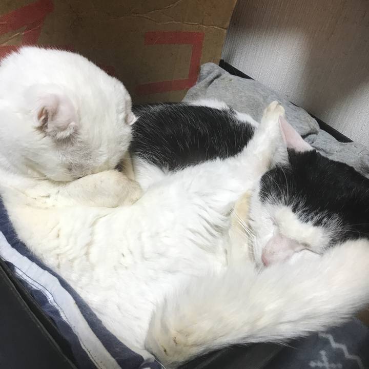 30413fe5 319f 4d80 8d63 da64a1a1da43 1546168221210