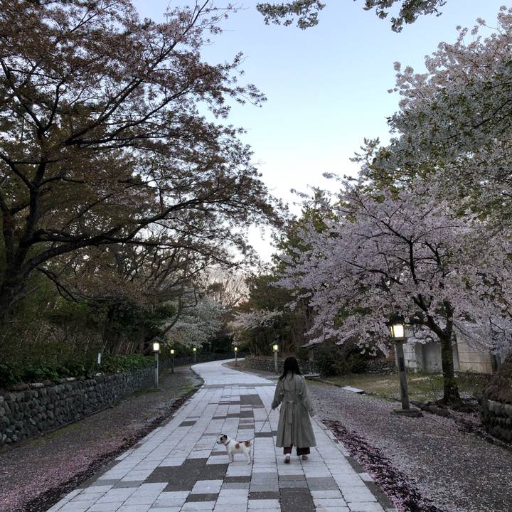 30415b01 da7e 49e8 bf1f 3703e259b9f6 1586861384950