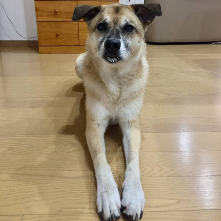 30418082 78ad 42fe 839c eec121758076 1532651476460