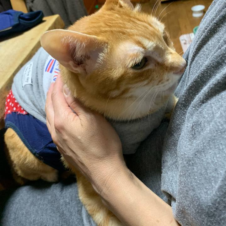 304184b2 86b0 49a4 b157 f239352c82a1 1616764989760