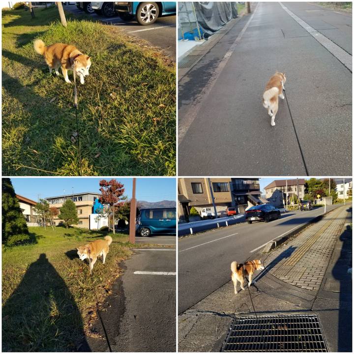 3041bcb7 1ccc 4a90 9d89 f0f8f889496f 1762240296246