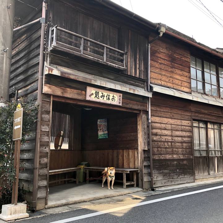 3041e43c 18a9 4ccc bc8e 654411f812aa 1552733532876