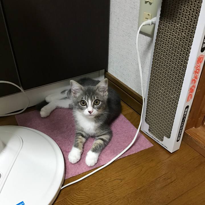 3041f401 5466 4ddc be29 cec3f0973740 1531390019682