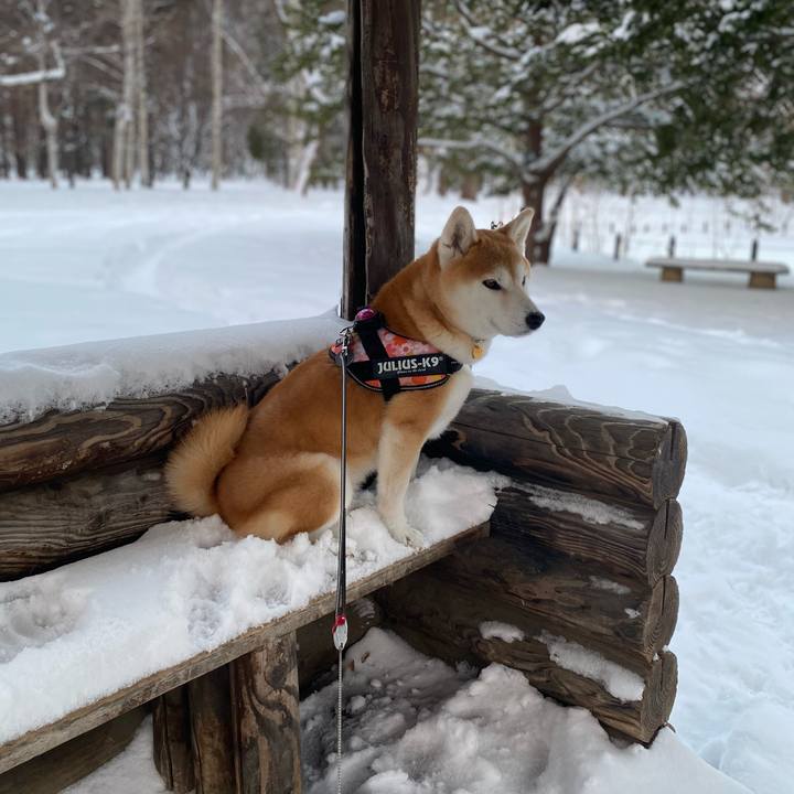 3041f800 9c23 41fe b31d 60ea88341775 1612007620775