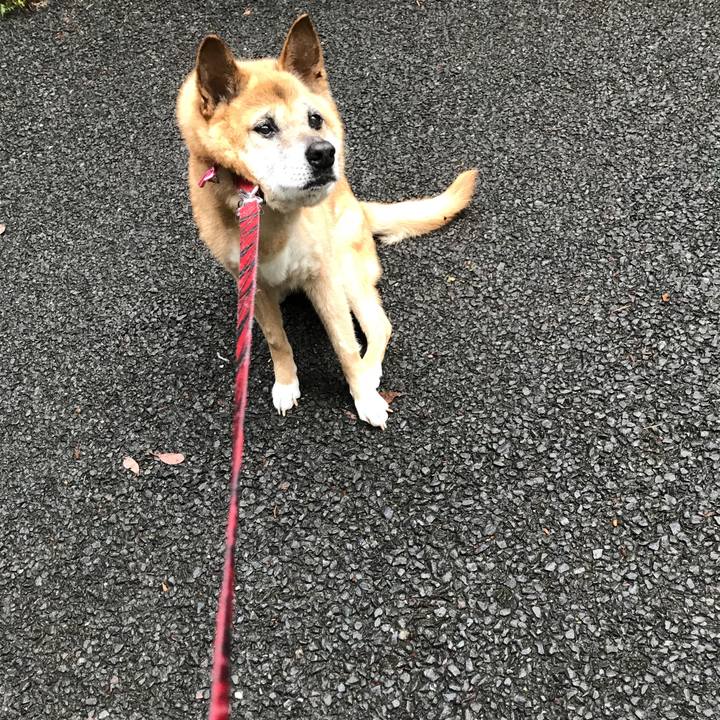 30428694 64a6 4c51 a031 ba0fa3b51310 1529534401096