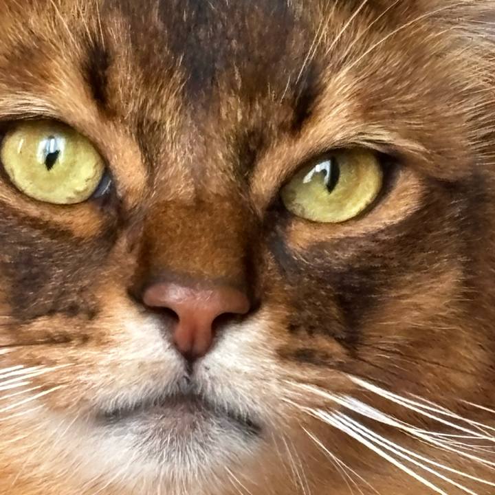 3042cff8 3dd1 4f94 b253 6802c73c504a 1762556894728