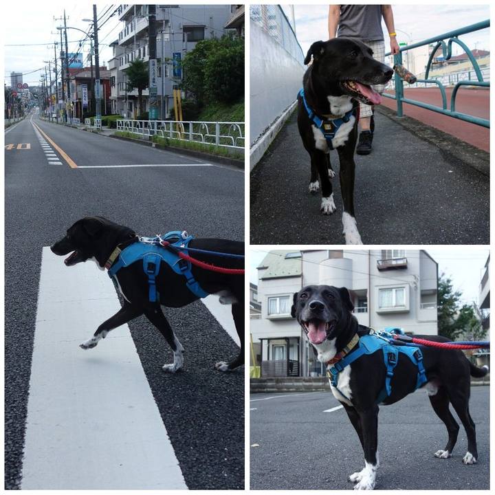 304334b6 c614 4342 8479 06221ce9d565 1632011470978