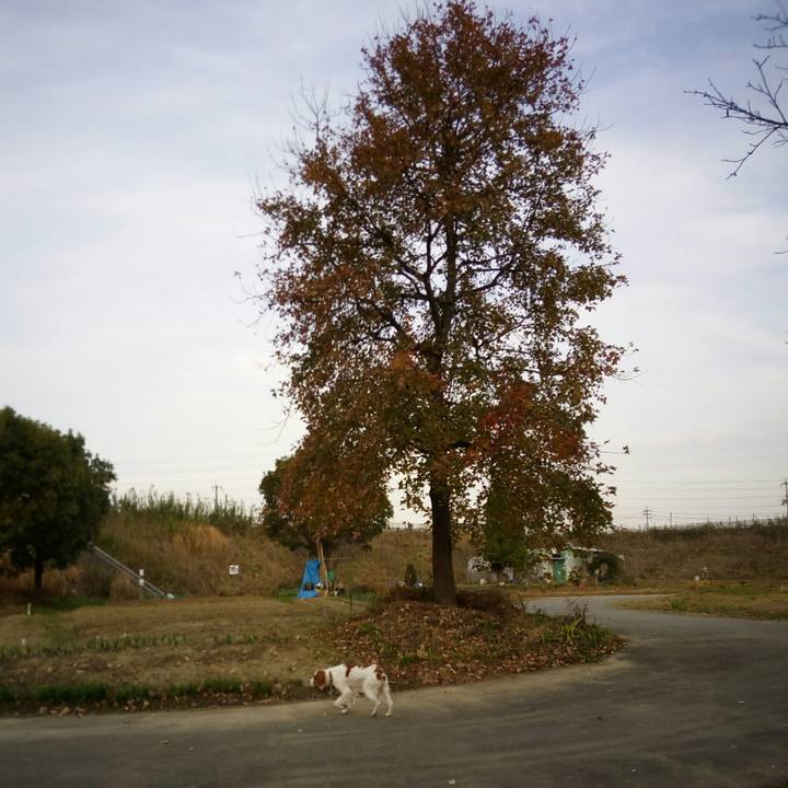 30434903 05f2 4506 bfd1 347f0fb9146c 1513383000801