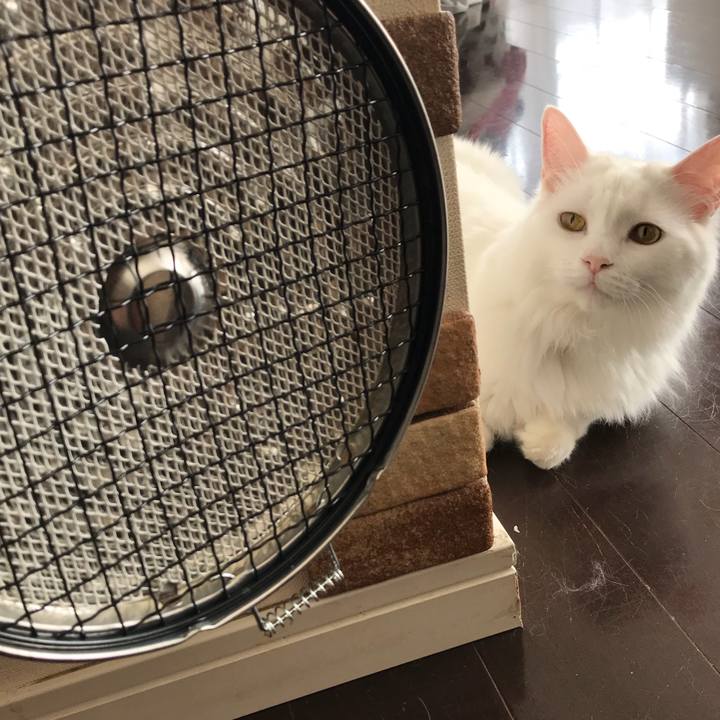 30435ec3 d33d 418b 9bde 972c6077d1e8 1527939510148