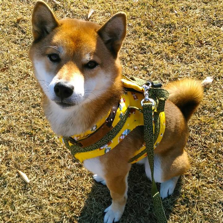 30437285 f182 43e9 9dde 2728c42a54f2 1511239899112