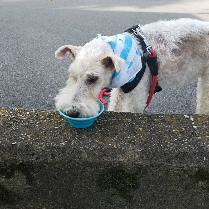 3043abcd 978d 42df a29c 1b13fb8beecd 1597189680403