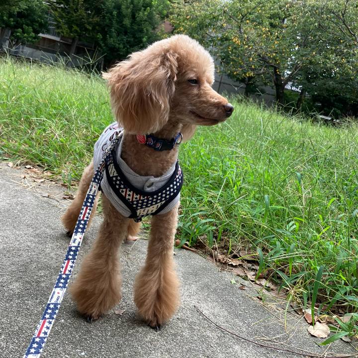 3043e782 1d1c 4ced 8e95 5bf732ba20ab 1664948158158