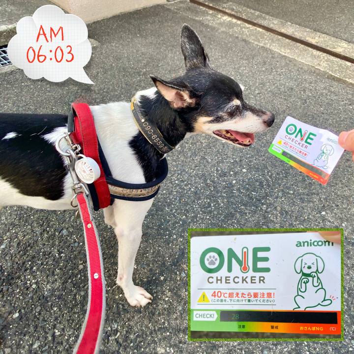 3043f20a e366 4b4f b635 a88d2bcd8954 1598396338699