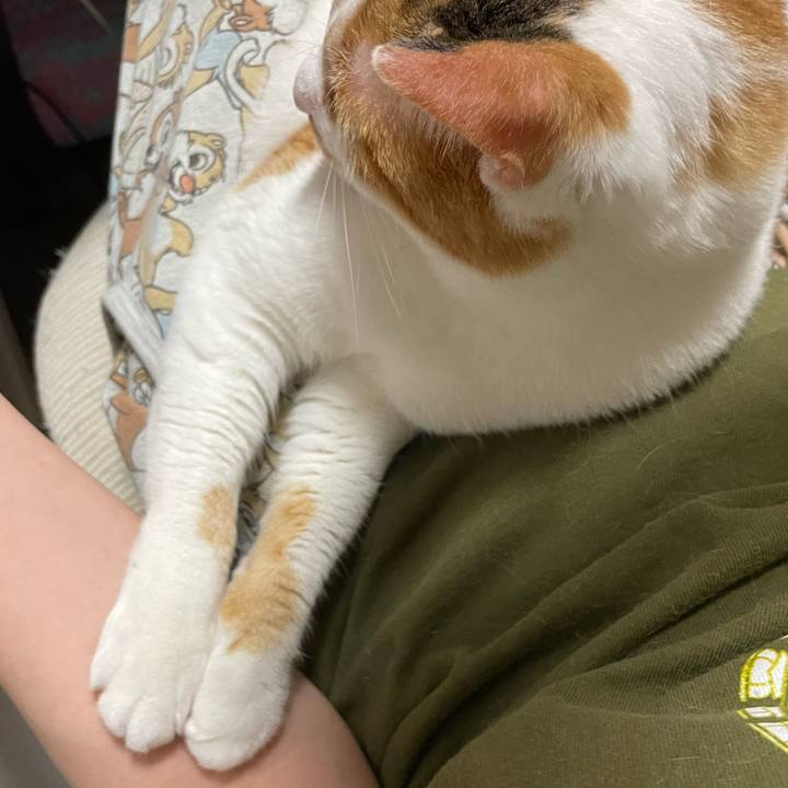 30440b8a c141 4ac4 9914 49100b5aeebf 1654179760541