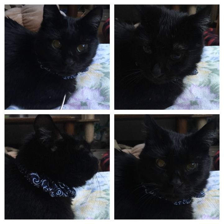 30441713 c051 47e6 ae8a d5be2b039449 1546900078954