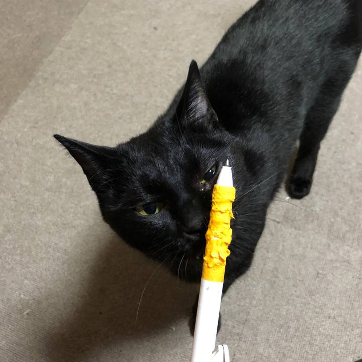 30447a5a 7748 4feb 9307 2fa1a7f733fd 1671024243142