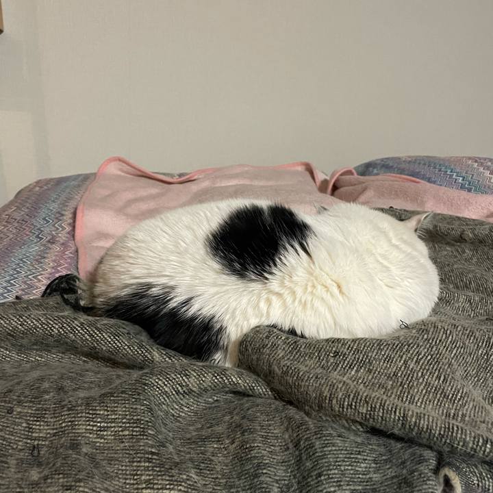 3044829b 2e0b 4120 ab34 8c84b37f1d4a 1672235052725