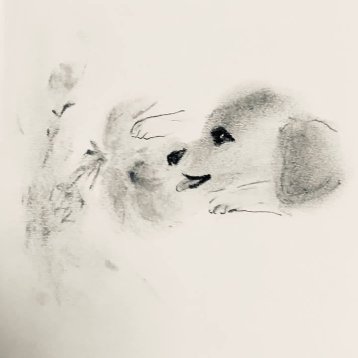 30449163 1b64 4016 9540 f84d6920f1f1 1589385140082