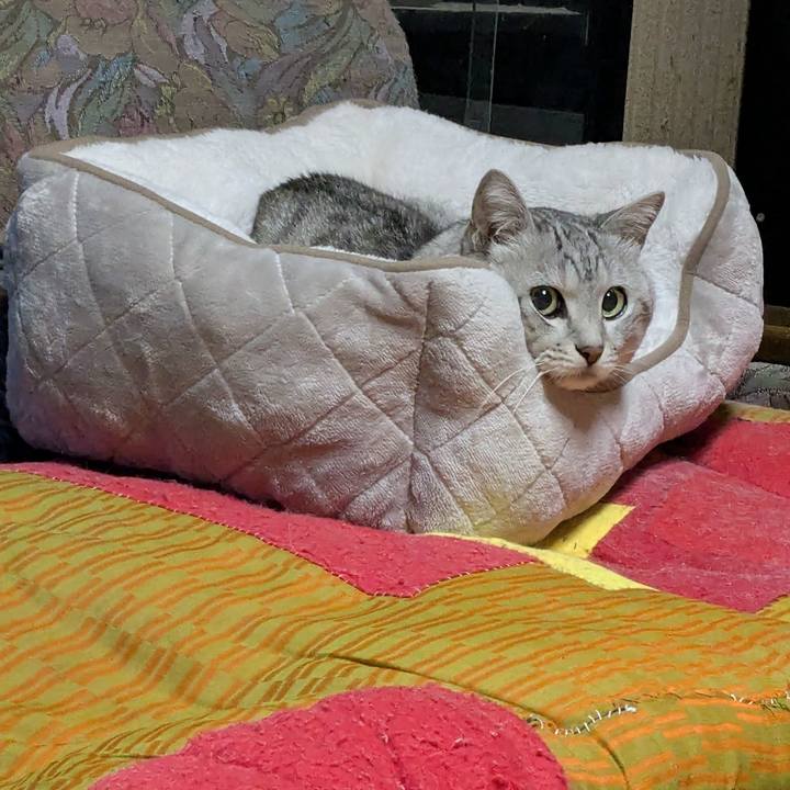 30449a56 a5a1 497b 9eef 4a25cba1ec07 1760624222627