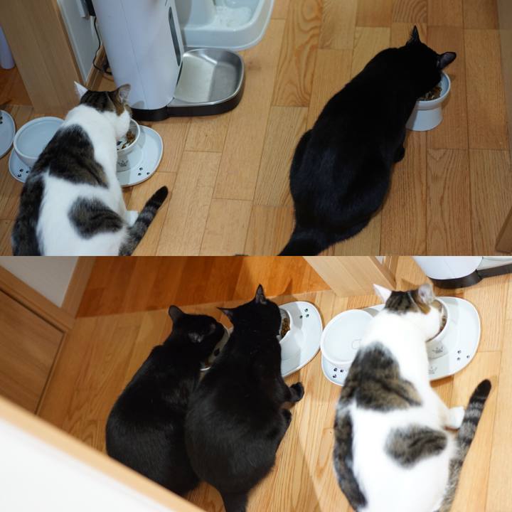 3044b3dc 87dd 47cd bf84 33dbd94a75ce 1553556442800