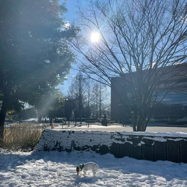 3044b96f bfb6 4681 97f5 1cad61d2a98b 1645689751164